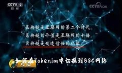 如何在Tokenim中切换到BSC网