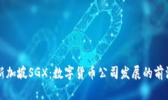 新加坡SGX：数字货币公司