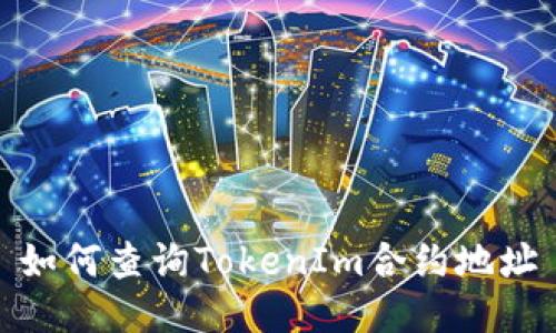如何查询TokenIm合约地址
