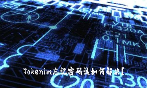 Tokenim忘记密码该如何解决？