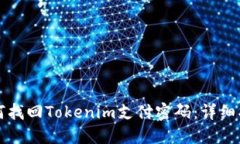 如何找回Tokenim支付密码：