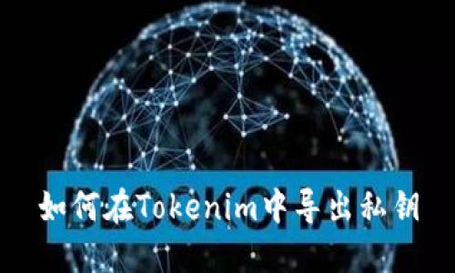 如何在Tokenim中导出私钥