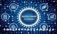 中国与毛里求斯的数字货