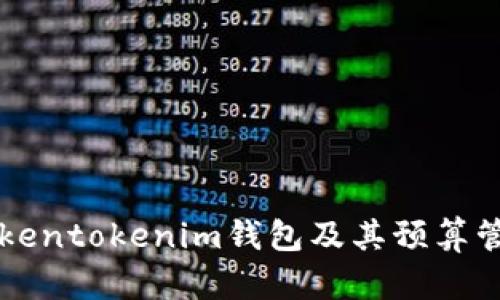 详解Tokentokenim钱包及其预算管理功能