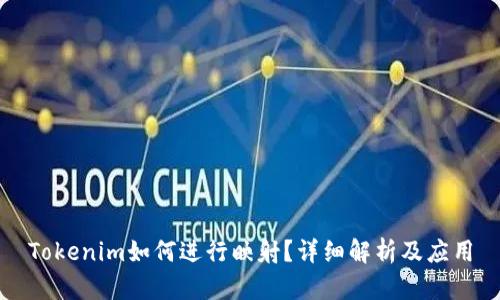 Tokenim如何进行映射？详细解析及应用