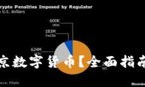 如何查询北京数字货币？全面指南与实用技巧