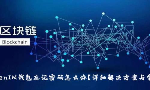: TokenTokenIM钱包忘记密码怎么办？详细解决方案与常见问题分析
