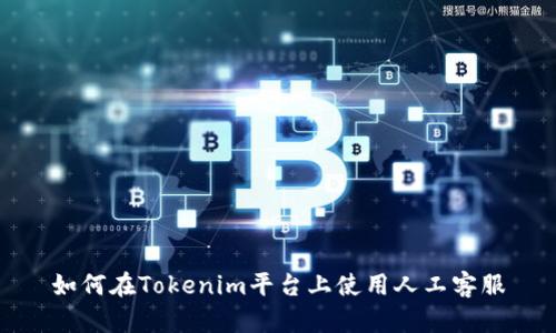 如何在Tokenim平台上使用人工客服