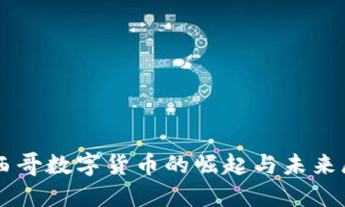 墨西哥数字货币的崛起与未来展望