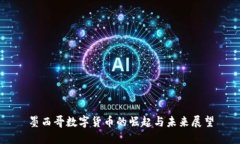 墨西哥数字货币的崛起与