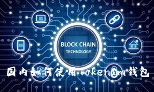 国内如何使用TokenIm钱包