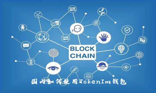 国内如何使用TokenIm钱包