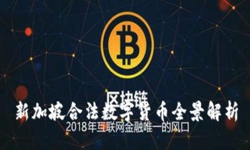 新加坡合法数字货币全景解析