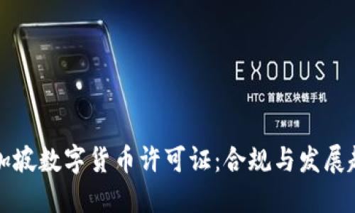 新加坡数字货币许可证：合规与发展趋势