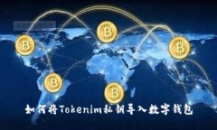 如何将Tokenim私钥导入数字