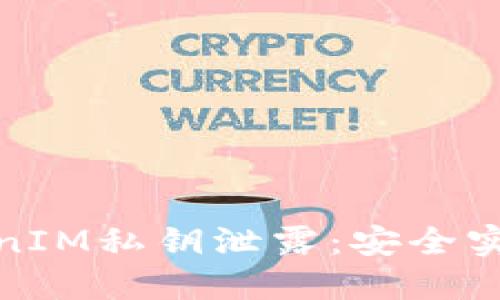 如何防范TokenIM私钥泄露：安全实践与应对策略