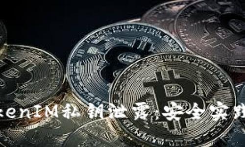 如何防范TokenIM私钥泄露：安全实践与应对策略