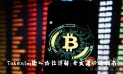 Tokenim输入路径详解：开发