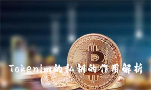 Tokenim的私钥的作用解析