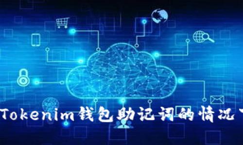 如何在丢失Tokenim钱包助记词的情况下重置登录？